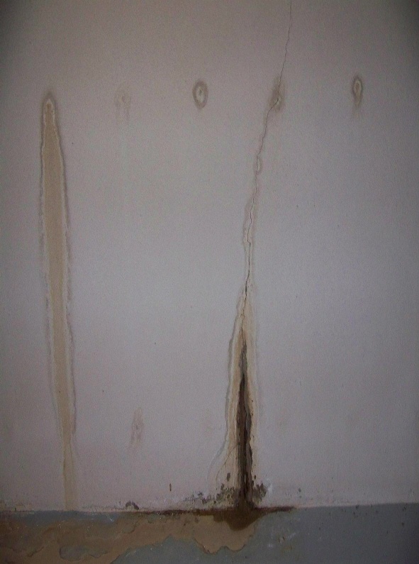 Crack and Rod Leaks